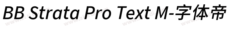BB Strata Pro Text M字体转换